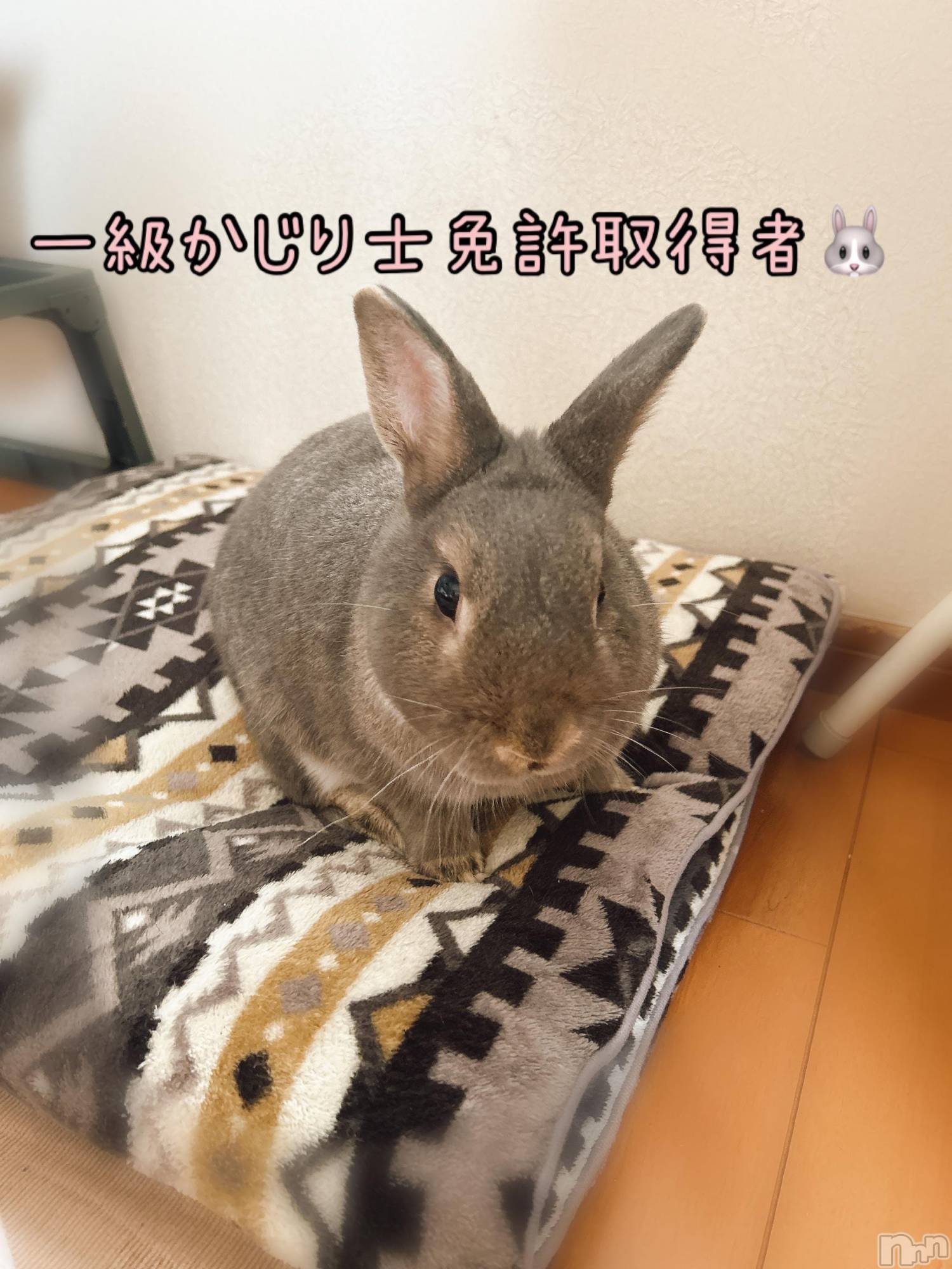 三条ぽっちゃり新潟三条燕ちゃんこ(ニイガタサンジョウツバメチャンコ)ゆかり(36)の2025年9月18日写メブログ「こんにちは」