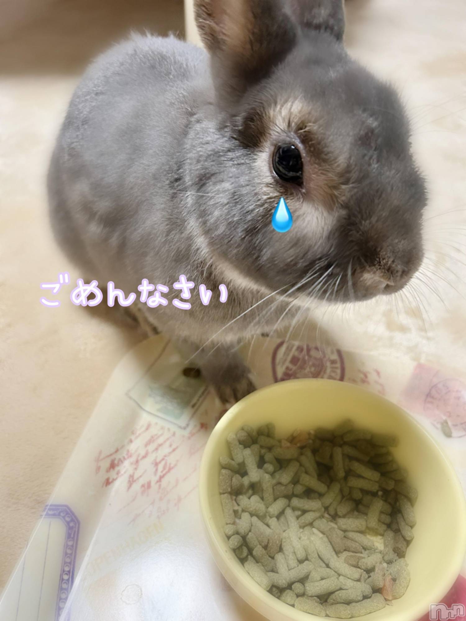 三条デリヘル新潟三条燕ちゃんこ(ニイガタサンジョウツバメチャンコ)ゆかり★プレミア(36)の2026年5月30日写メブログ「ごめんなさい」