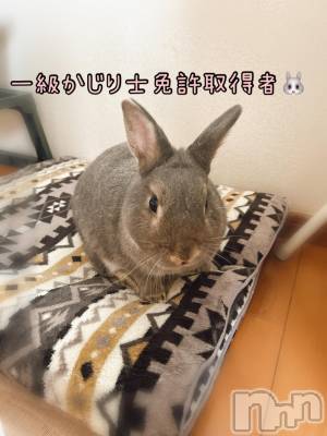 三条デリヘル 新潟三条燕ちゃんこ(ニイガタサンジョウツバメチャンコ) ゆかり(36)の9月18日写メブログ「こんにちは」