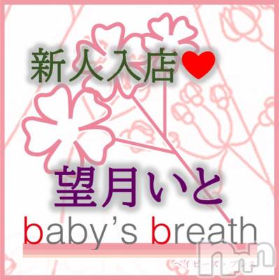 㿷ȯĥꥢˤ󥺥ơbaby's breath(٥ӡ ֥쥹)פΥ㥹ȡ˾ȡڿۡ͡פξҲ
