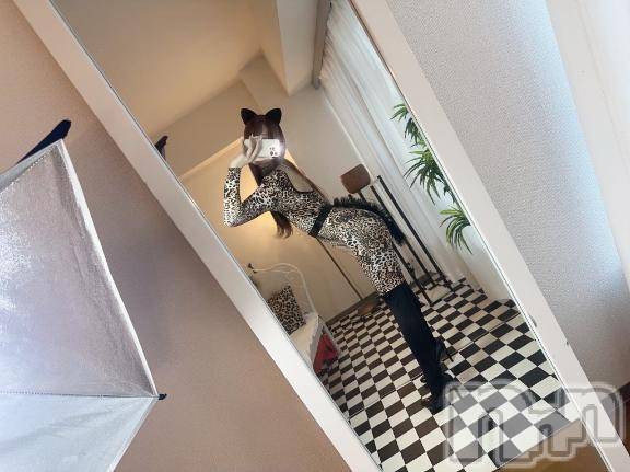 新潟ソープ新潟バニーコレクション(ニイガタバニーコレクション)ヒメ(22)の2026年4月25日写メブログ「おやすみ🌙」