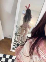 新潟ソープ新潟バニーコレクション(ニイガタバニーコレクション) ヒメ(22)の4月5日写メブログ「🎀🎀🎀」