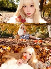 新潟ソープ新潟バニーコレクション(ニイガタバニーコレクション) ヒメ(22)の11月1日写メブログ「ぽ！！！！」