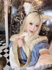 新潟ソープ新潟バニーコレクション(ニイガタバニーコレクション) ヒメ(22)の11月16日写メブログ「え♡ちな夢のつづき💫」