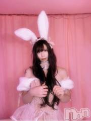 新潟ソープ新潟バニーコレクション(ニイガタバニーコレクション) ヒメ(22)の2月5日写メブログ「今日から7日間！」