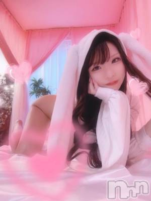 新潟ソープ 新潟バニーコレクション(ニイガタバニーコレクション) ヒメ(22)の2月9日写メブログ「ところてん‎🤍」