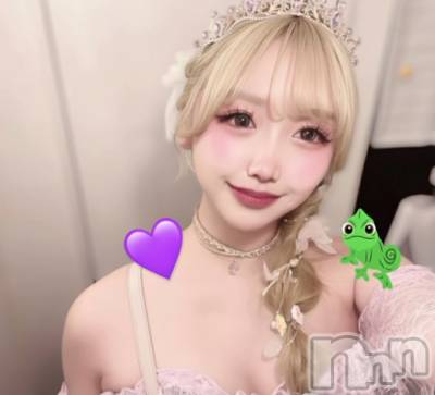 Х顦CLUB ALBATROSS(Хȥ) ʤ112̥֥𝐑𝐚𝐩𝐮𝐧𝐳𝐞𝐥🦎💜