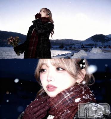 Х顦CLUB ALBATROSS(Хȥ) ʤ113̥֥☃❄