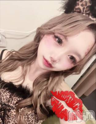 Х顦CLUB ALBATROSS(Хȥ) ʤ117ֲ̥֥ˤϥ󸫤㤤ޤ🎃