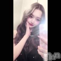 ⋆꙳⸜⸜🎀⸝⸝꙳⋆