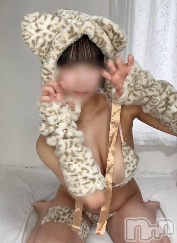 新潟デリヘルMelt(メルト)ののか(20)の2026年3月19日写メブログ「20時からいます🎀」