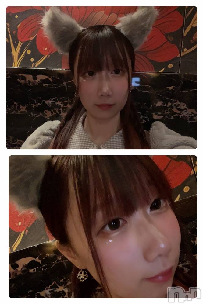 ܱХ顦CLUB FOUR LEAF(ե꡼) Ϥ뤫1122̥֥2ܤá