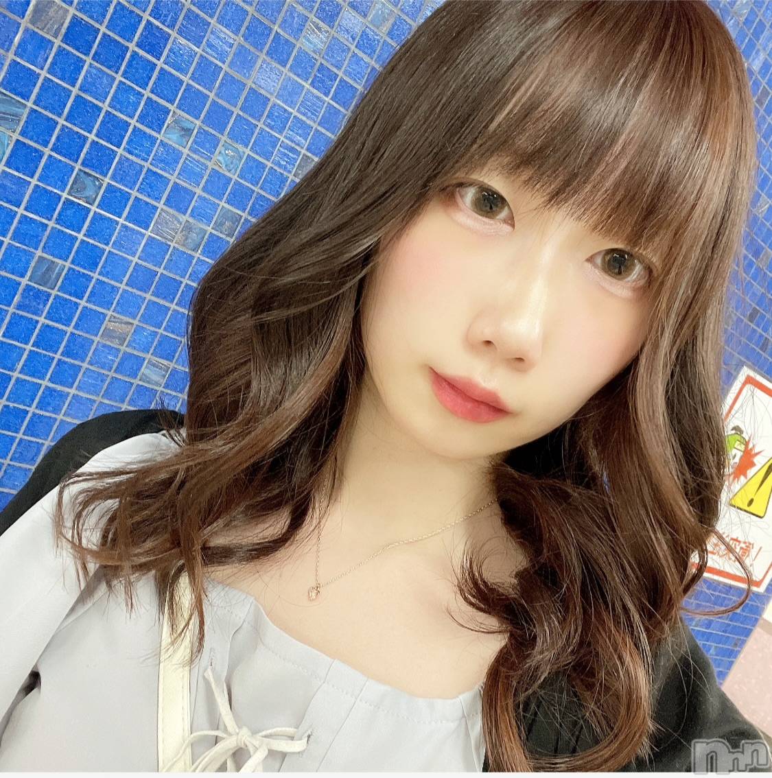 ܱХ顦CLUB FOUR LEAF(ե꡼) 2025ǯ513̥֥͎