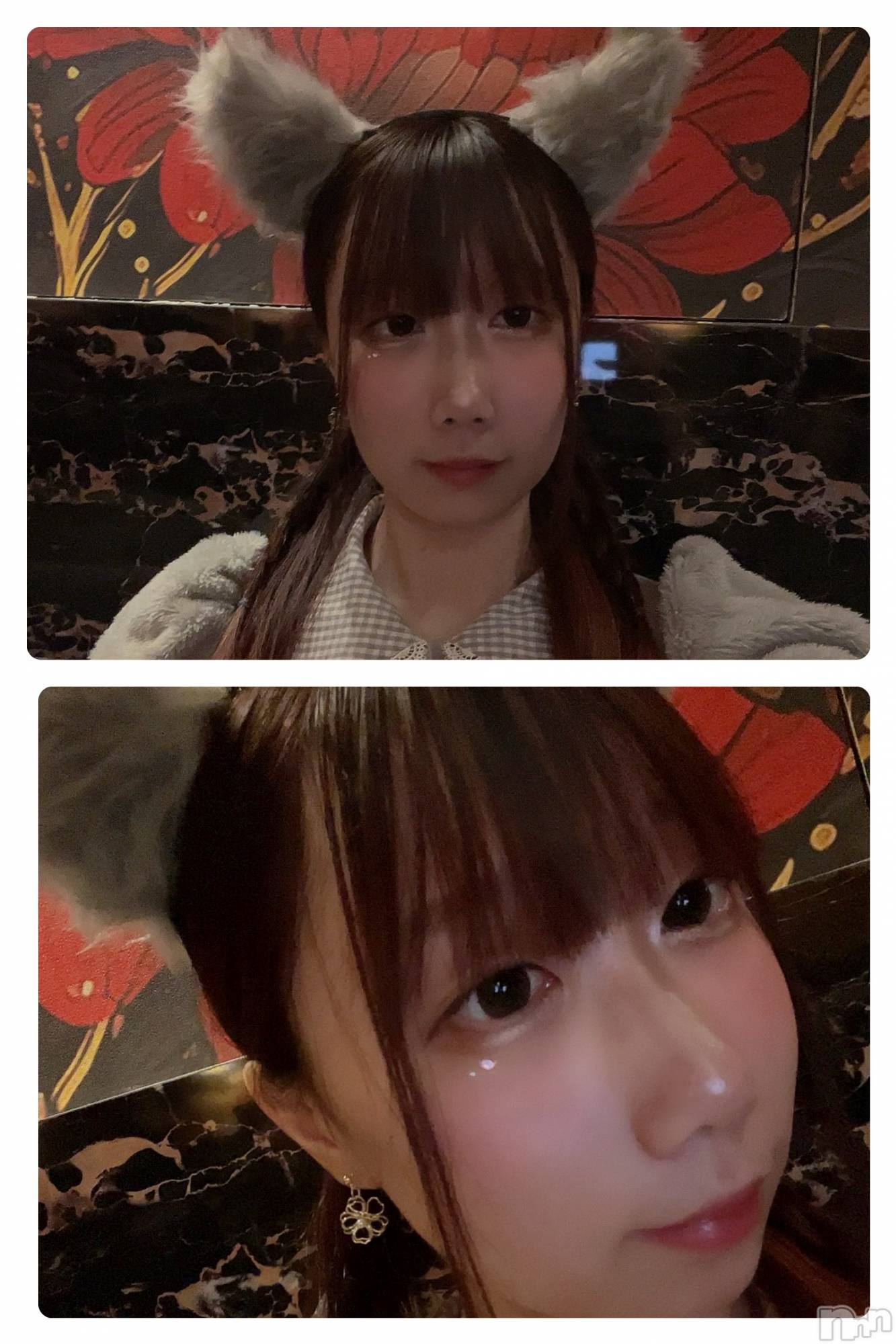 ܱХ顦CLUB FOUR LEAF(ե꡼) 2025ǯ1122̥֥2ܤá