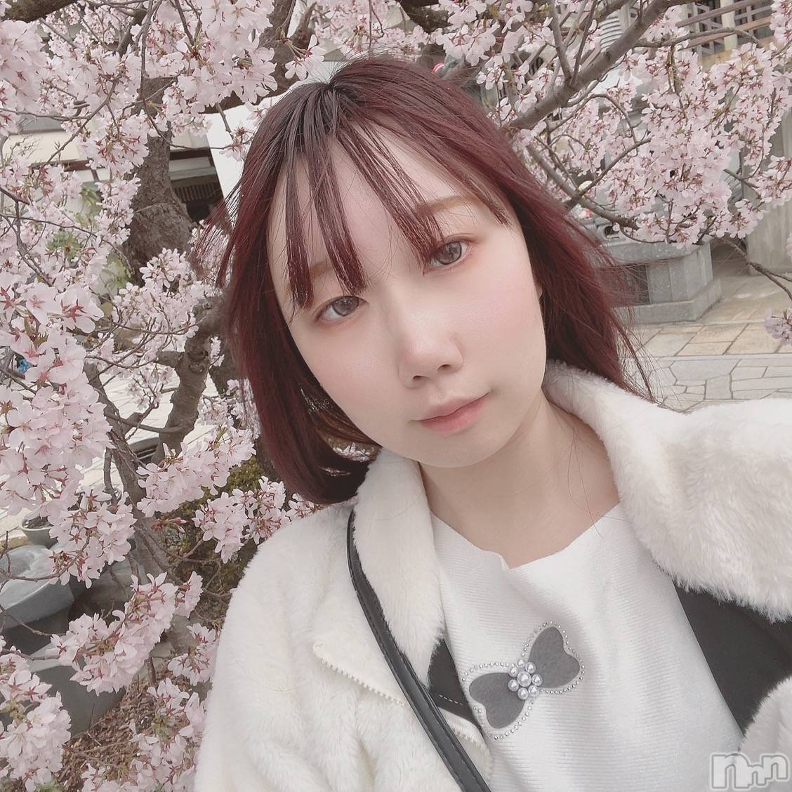 ���ܱ�������Х��顦�����CLUB FOUR LEAF(�ե����꡼��) ��2026ǯ4��4���̥�֥����֤��ͤ������ޤ�❣️��