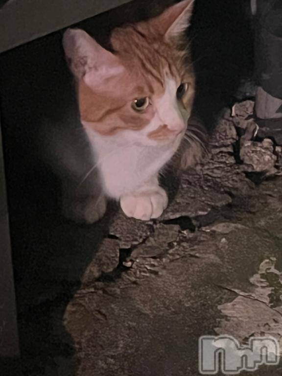 三条デリヘル新潟デリヘル倶楽部　三条店(ニイガタデリヘルクラブ　サンジョウテン)まお(20)の2025年7月16日写メブログ「お友達しょーかい！」