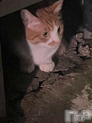 三条デリヘル 新潟デリヘル倶楽部　三条店(ニイガタデリヘルクラブ　サンジョウテン) まお(20)の7月16日写メブログ「お友達しょーかい！」