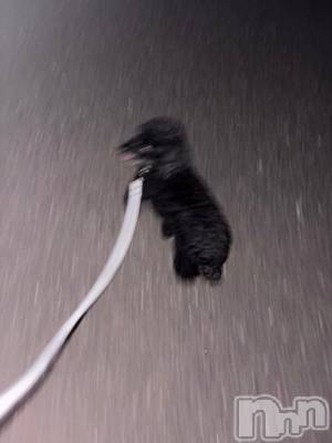 三条デリヘル 新潟デリヘル倶楽部　三条店(ニイガタデリヘルクラブ　サンジョウテン) まお(20)の8月3日写メブログ「最近のマイブーム」