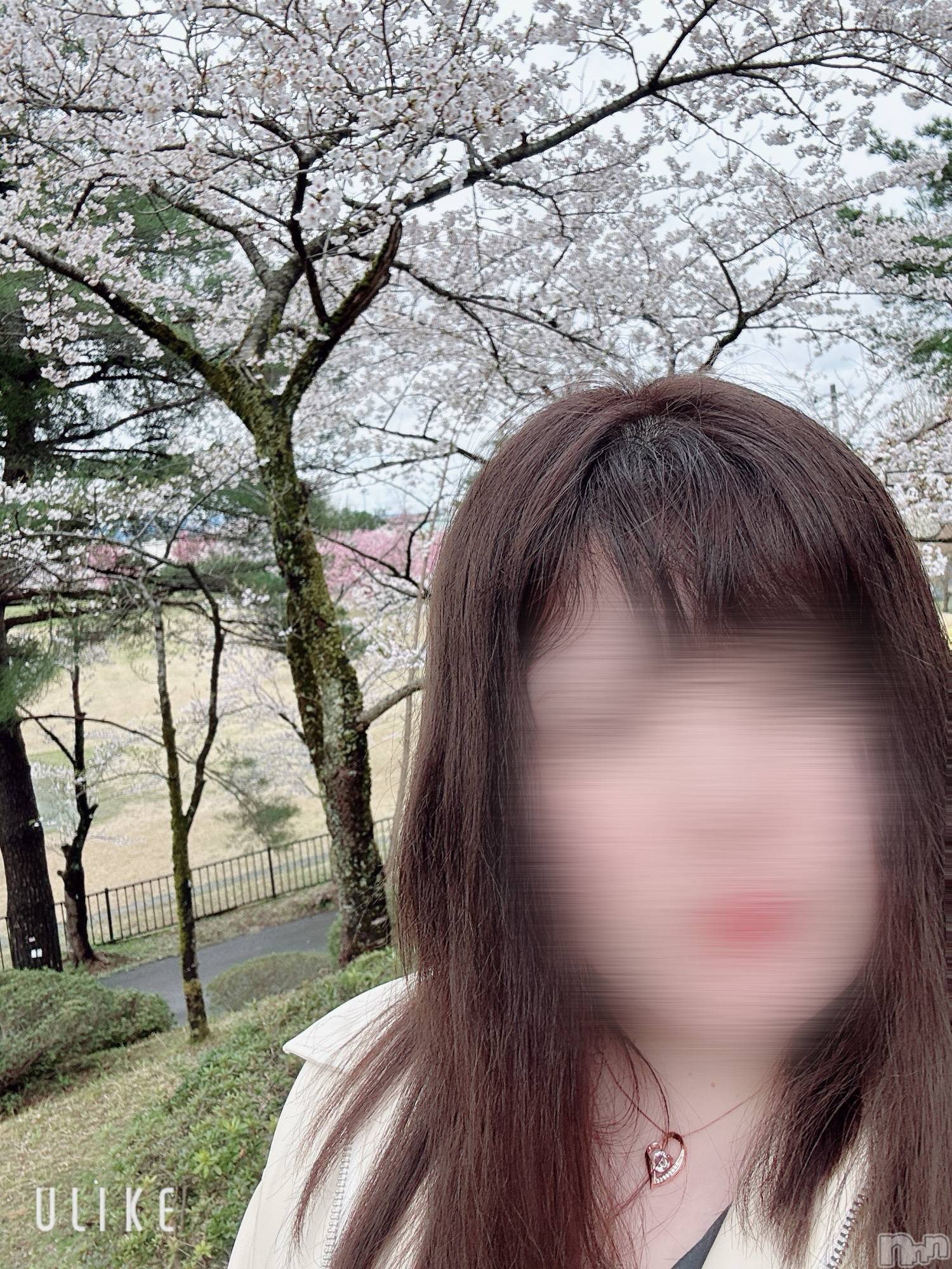 新潟ぽっちゃり新潟元祖！ぽっちゃりデリヘル　ミルクパイ(ニイガタガンソポッチャリデリヘルミルクパイ)りこ(27)の2025年4月14日写メブログ「オススメの…」