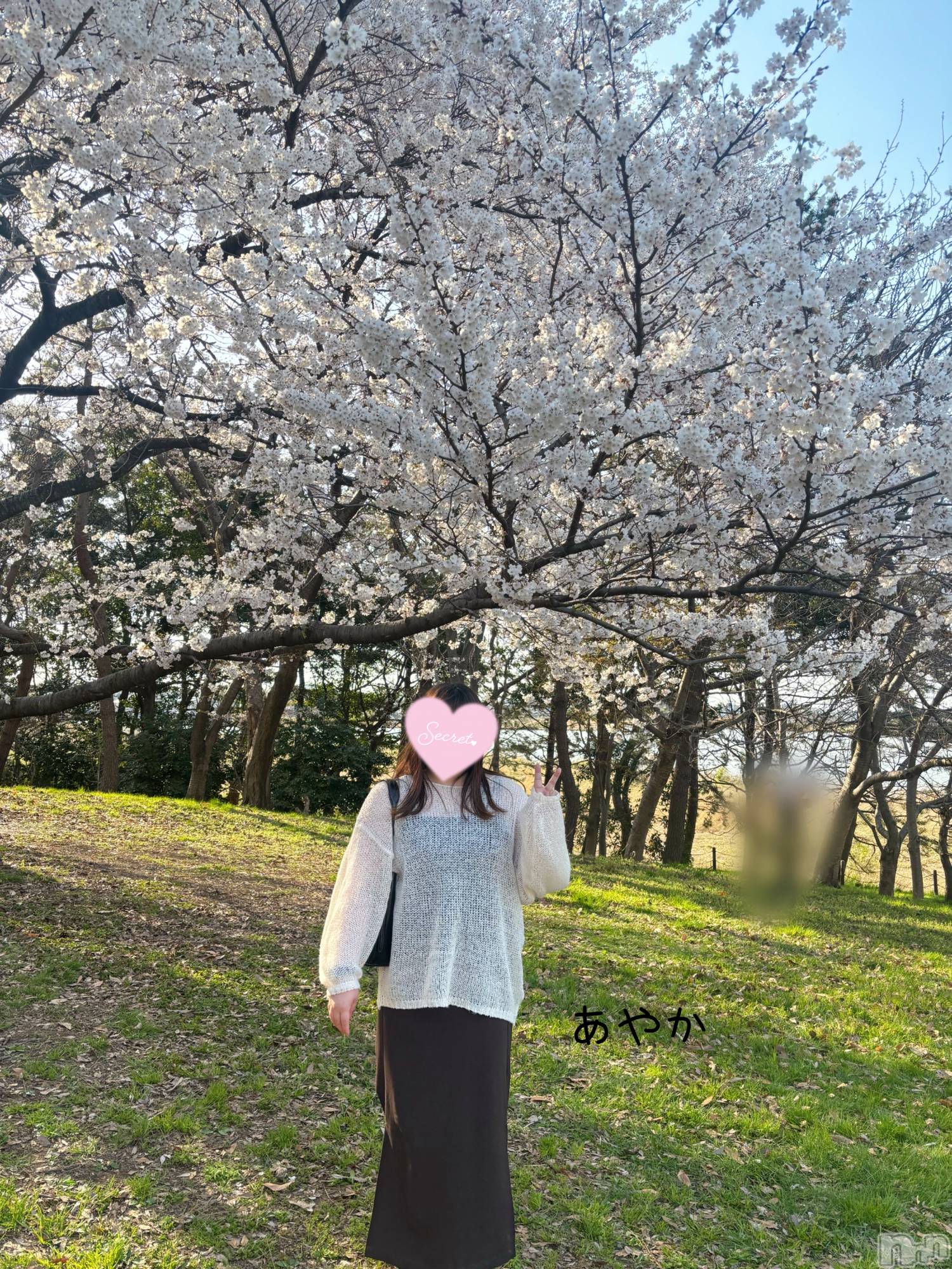 新潟ぽっちゃり新潟元祖！ぽっちゃりデリヘル　ミルクパイ(ニイガタガンソポッチャリデリヘルミルクパイ)あやか(30)の2025年4月17日写メブログ「今年もやっぱり花より」