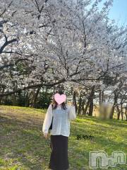 新潟ぽっちゃり新潟元祖！ぽっちゃりデリヘル　ミルクパイ(ニイガタガンソポッチャリデリヘルミルクパイ) あやか(30)の4月17日写メブログ「今年もやっぱり花より」