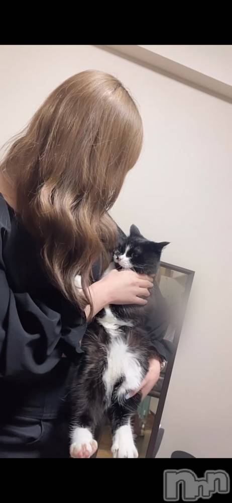 ȯѥ˥󥯥ֿ㥳(˥) ߤ椦426̥֥֤ޤ🐱