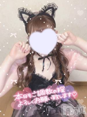 新潟ソープ スチュワーデス みなみ(21)の2月7日写メブログ「おはよ～🐈‍⬛」