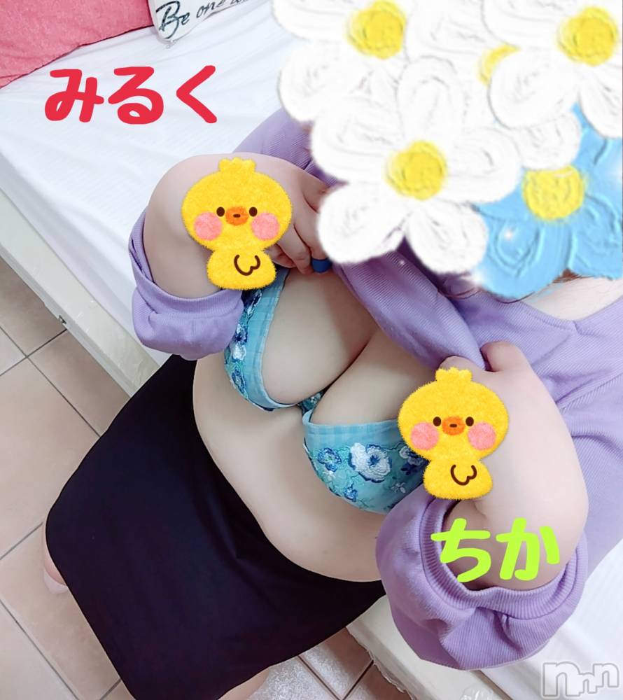 新潟ぽっちゃり新潟元祖！ぽっちゃりデリヘル　ミルクパイ(ニイガタガンソポッチャリデリヘルミルクパイ) ちか(31)の4月17日写メブログ「出勤してまーす！」