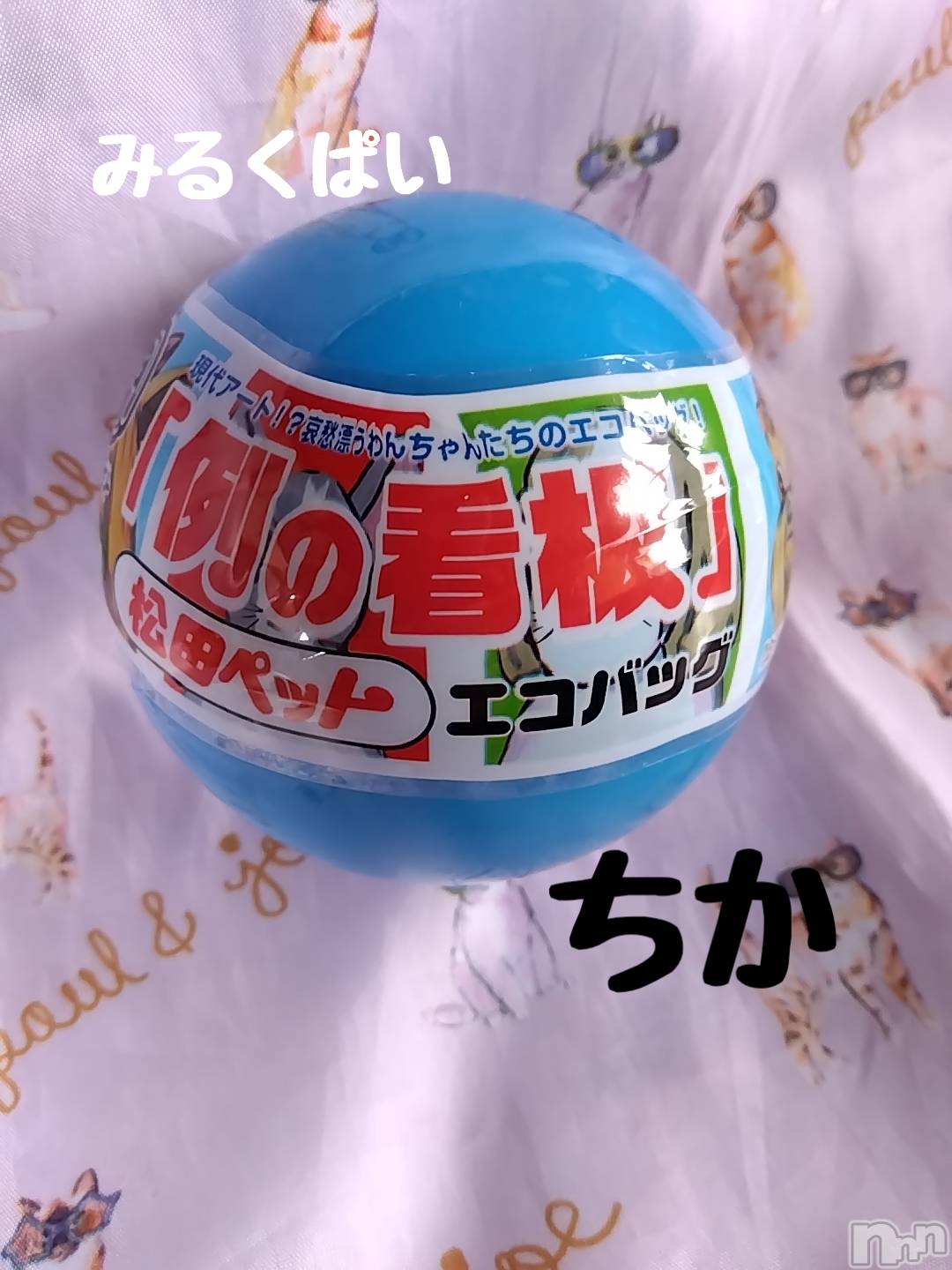 新潟ぽっちゃり新潟元祖！ぽっちゃりデリヘル　ミルクパイ(ニイガタガンソポッチャリデリヘルミルクパイ)ちか(31)の2025年5月28日写メブログ「見つけた！！」