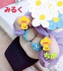 新潟ぽっちゃり新潟元祖！ぽっちゃりデリヘル　ミルクパイ(ニイガタガンソポッチャリデリヘルミルクパイ) ちか(31)の4月17日写メブログ「出勤してまーす！」