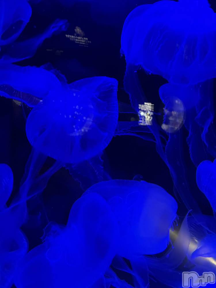 ��Ʋ����Х��顦�����Lounge Veranda(�饦�󥸥٥���) �ʤĤ���1��7���̥�֥����ֽжС�