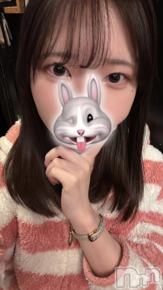 ʥå륺СGirls Bar Philia(륺Сեꥢ) ʤ329̥֥֤ԡ