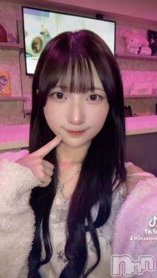 (ҥߥ) Ĺ157cmʥå륺С Girls Bar Philia(륺Сեꥢ)ҡ