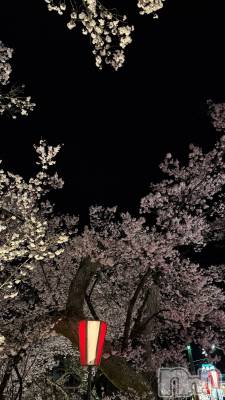 ƲХ顦ֲ֥ڲСݣȣΣ£ɡ(֥ϥʥ) (23)417̥֥🌸✨