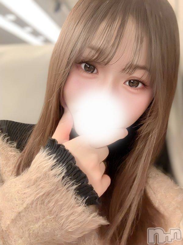 白星かお