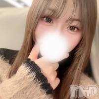 白星かお