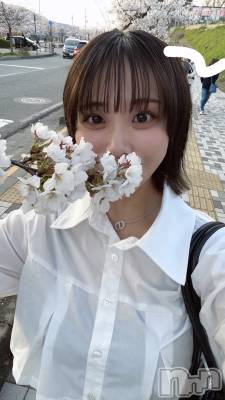 ƲХ顦JARDIN CLUB(󥯥) ꥵ412̥֥🌸