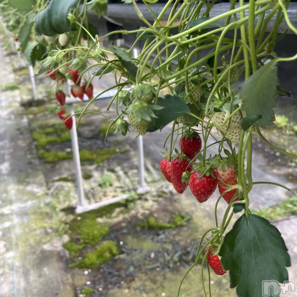 Х顦Lune LYNX(롼󥯥) 񡡤Ϥ418̥֥🍓🥛