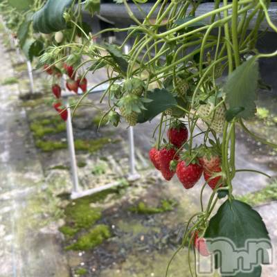 Х顦Lune LYNX(롼󥯥) 񡡤Ϥ418̥֥🍓🥛