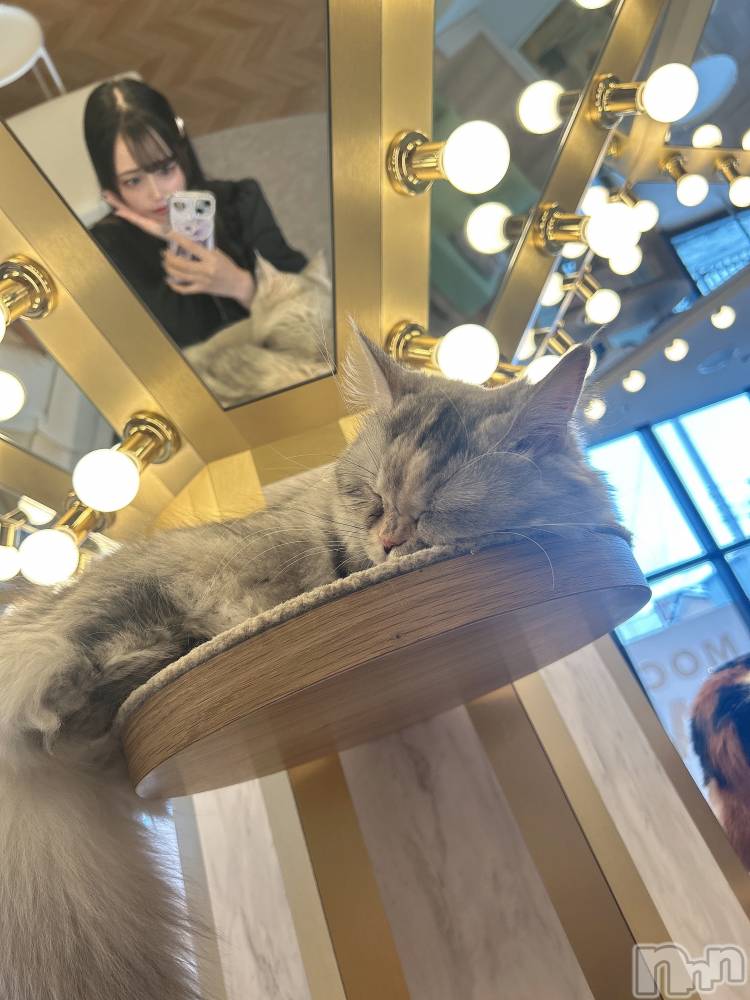 ���ܱ�������Х��顦�����CLUB FOUR LEAF(�ե����꡼��) �ߤ�Ӥ�2��15���̥�֥�����🐈‍⬛�ġ�