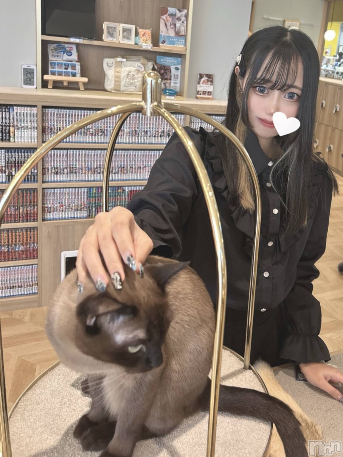 ���ܱ�������Х��顦�����CLUB FOUR LEAF(�ե����꡼��) ��2026ǯ2��11���̥�֥�����🐾�ġ�