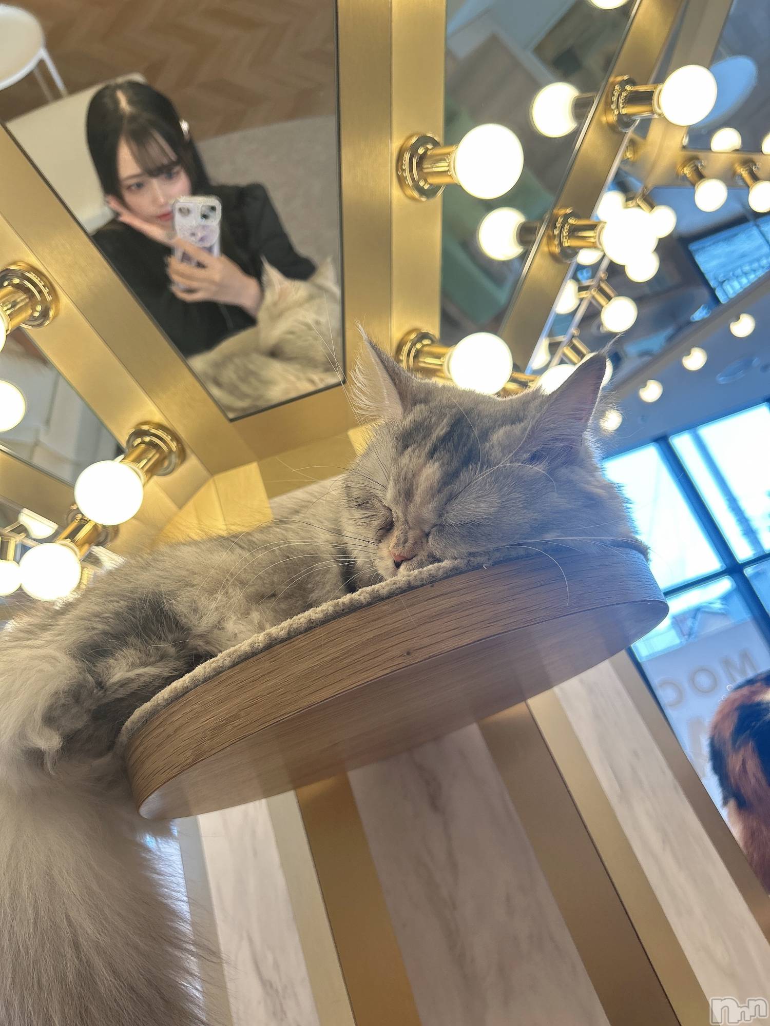 ���ܱ�������Х��顦�����CLUB FOUR LEAF(�ե����꡼��) ��2026ǯ2��15���̥�֥�����🐈‍⬛�ġ�