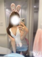 三条デリヘルalphaGOLD(アルファゴールド) かるあ(23)の4月4日写メブログ「うさぎのコスプレ₍ᐢ｡•༝•｡ᐢ₎　」