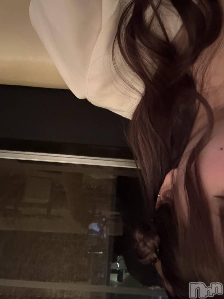 ܱХ顦֥ ץ ( ץ ޥĥ) ʤʤ53̥֥53 2036ʬΥ֥