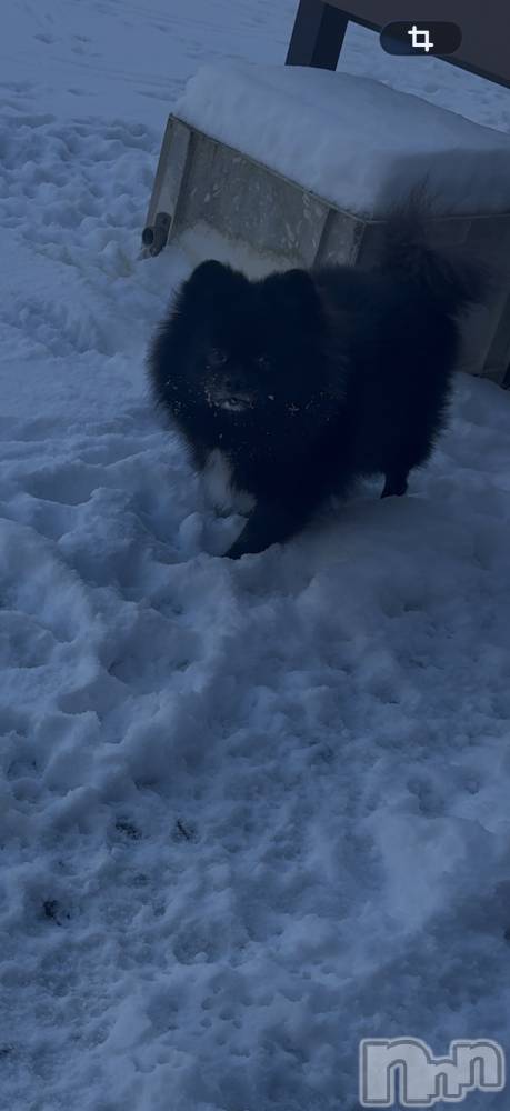 ���ܱ�������Х��顦����֥���� �ץ���� ����(����� �ץ���� �ޥĥ��) �ʤʤ�2��12���̥�֥�����2��12�� 21��04ʬ�Υ֥�����