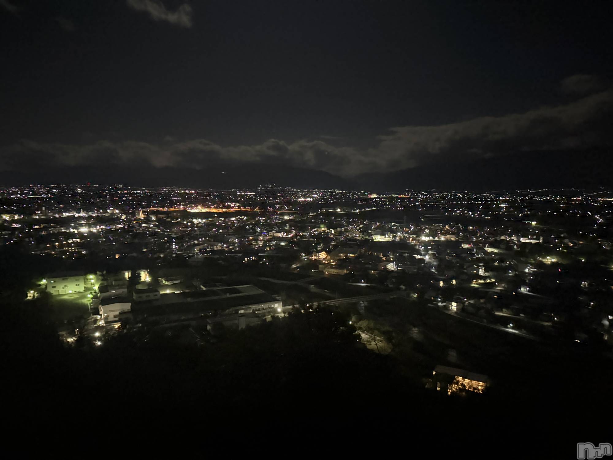 ܱХ顦֥ ץ ( ץ ޥĥ) 2025ǯ115̥֥115 2207ʬΥ֥