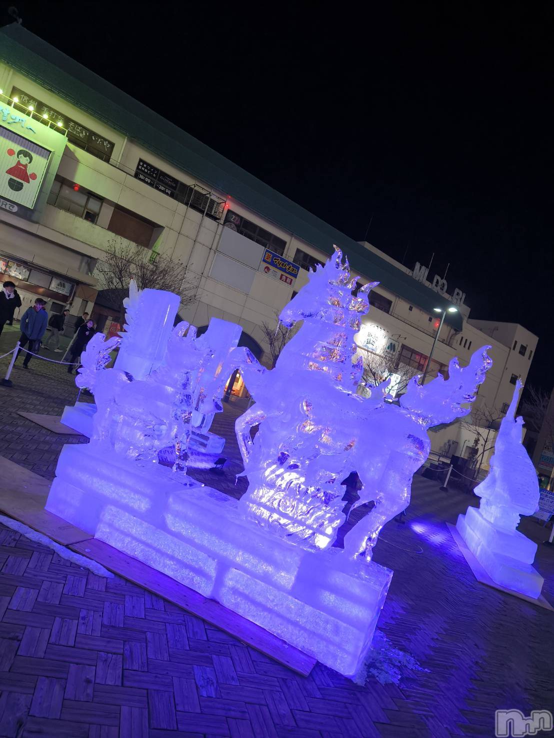 ���ܱ�������Х��顦����֥���� �ץ���� ����(����� �ץ���� �ޥĥ��) ��2026ǯ1��30���̥�֥�����1��30�� 21��13ʬ�Υ֥�����