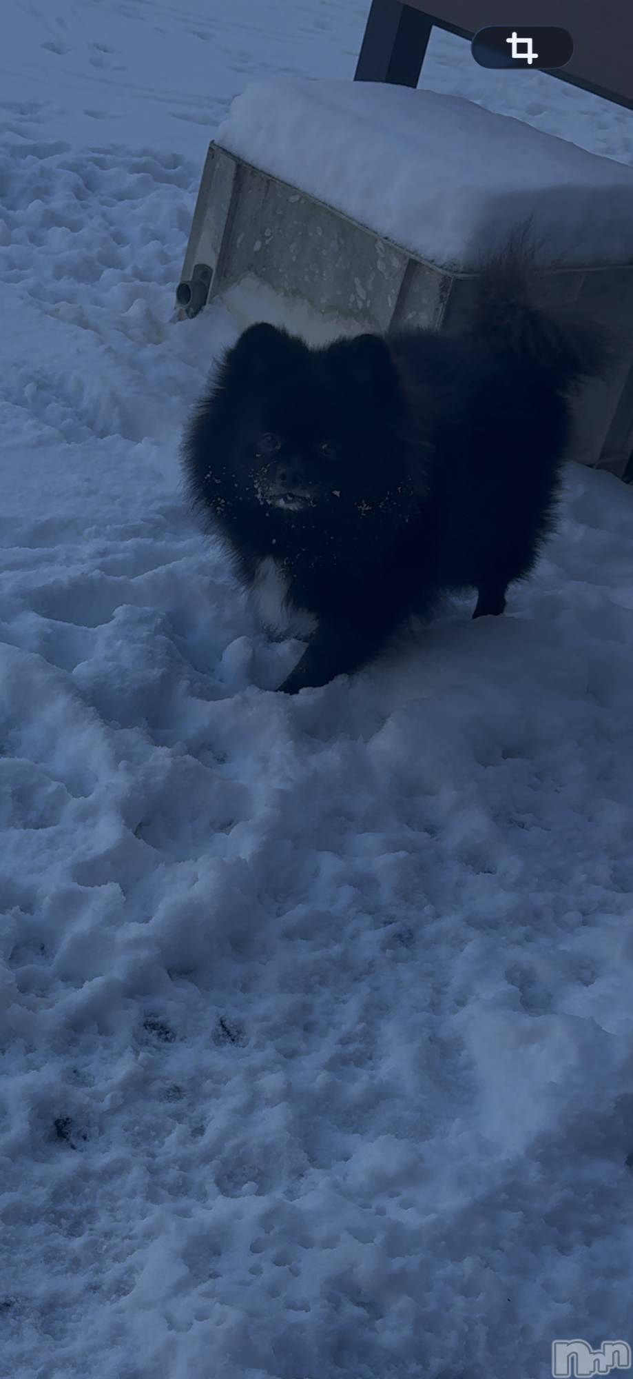 ���ܱ�������Х��顦����֥���� �ץ���� ����(����� �ץ���� �ޥĥ��) ��2026ǯ2��12���̥�֥�����2��12�� 21��04ʬ�Υ֥�����