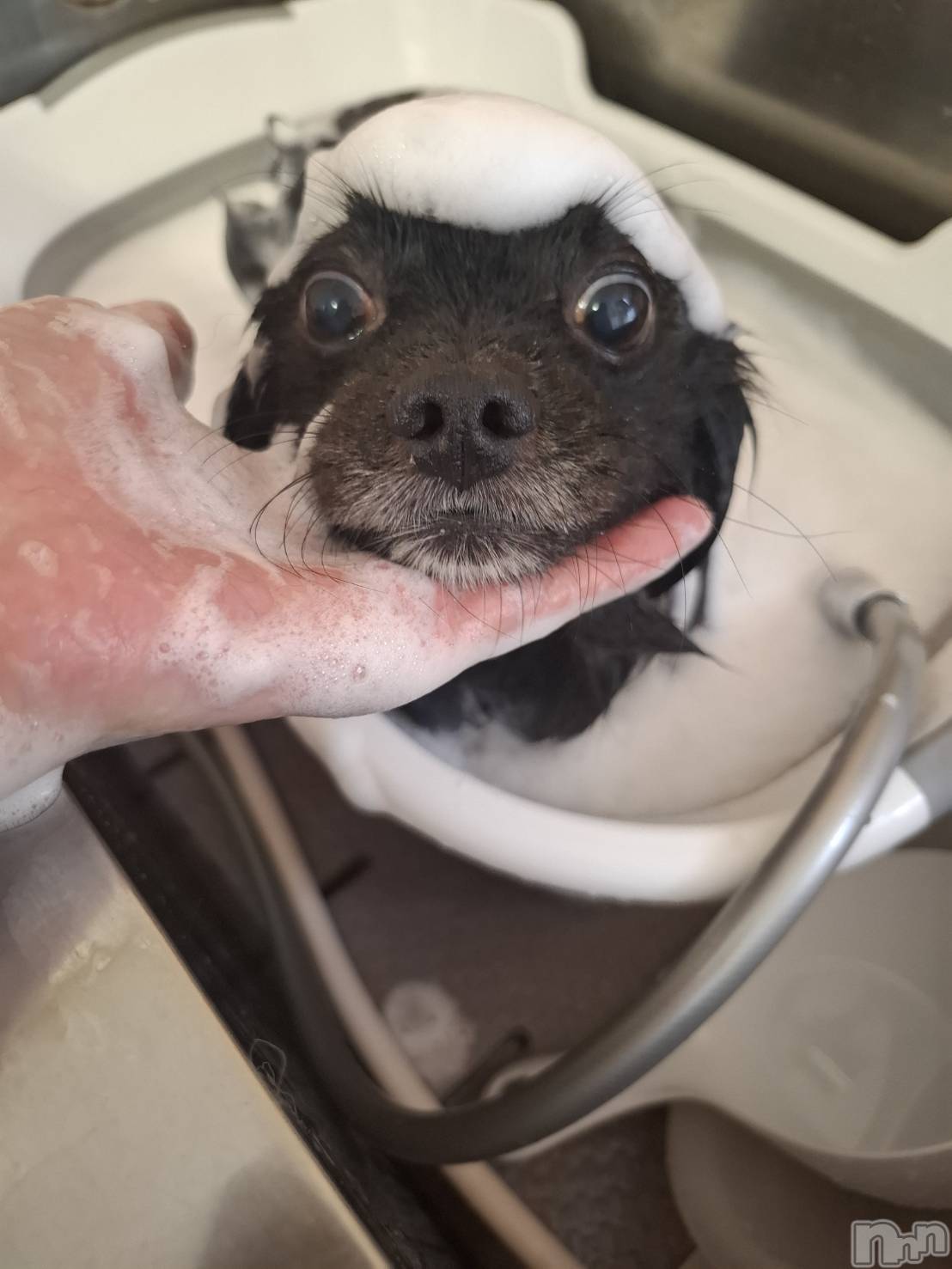 ���ܱ�������Х��顦����֥���� �ץ���� ����(����� �ץ���� �ޥĥ��) ��2026ǯ3��4���̥�֥�����3��4�� 22��39ʬ�Υ֥�����