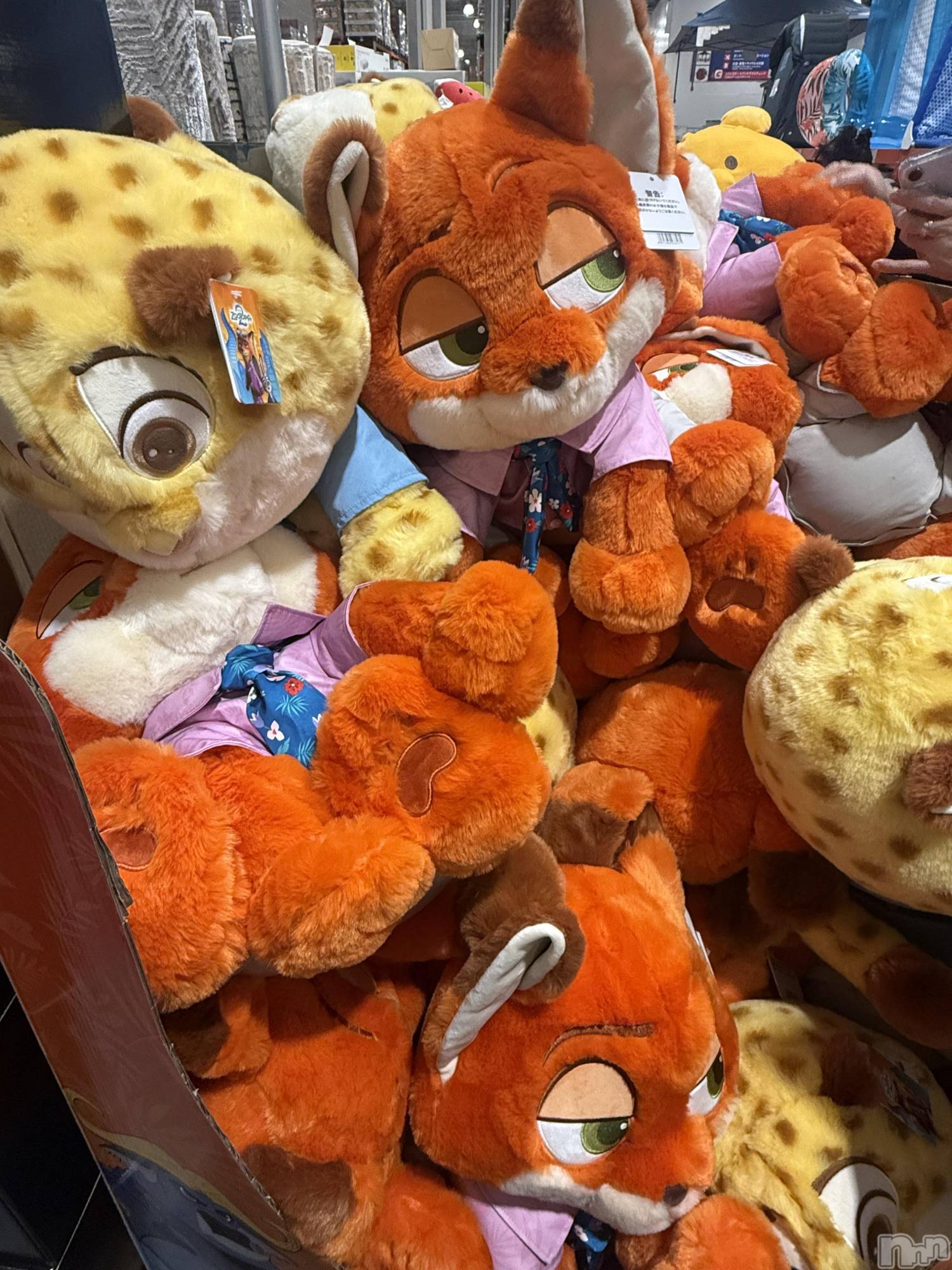 ���ܱ�������Х��顦����֥���� �ץ���� ����(����� �ץ���� �ޥĥ��) ��2026ǯ4��16���̥�֥�����4��16�� 20��31ʬ�Υ֥�����